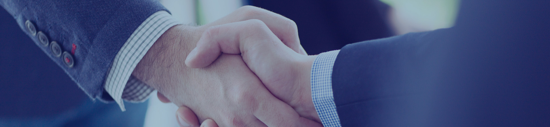 创世红海|官方下载