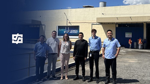 创世红海|官方下载